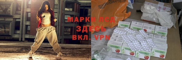 стаф Володарск