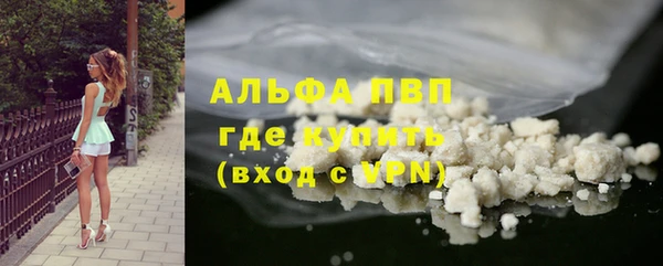стаф Володарск