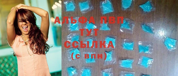 стаф Володарск