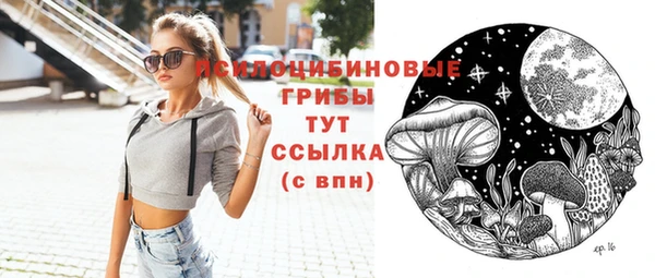 ПСИЛОЦИБИНОВЫЕ ГРИБЫ Волосово