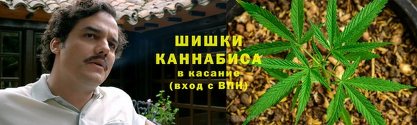 стаф Володарск