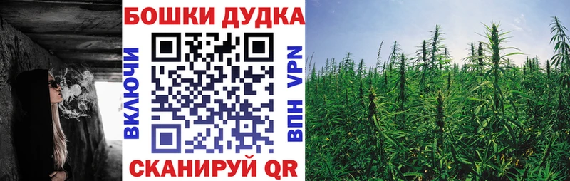 Купить где  Костомукша  Конопля AK-47 